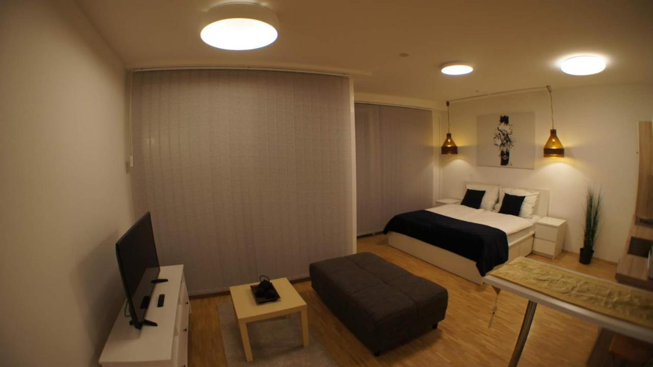 Central Lg Studio Free Parking Graz Luaran gambar